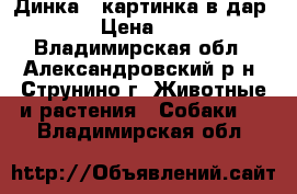 Динка – картинка в дар! › Цена ­ 1 - Владимирская обл., Александровский р-н, Струнино г. Животные и растения » Собаки   . Владимирская обл.